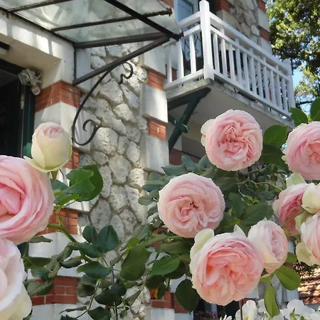 Frivole Bed & Breakfast