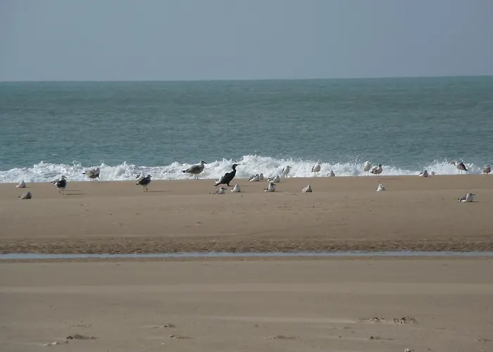 Frivole Bed & Breakfast 3*