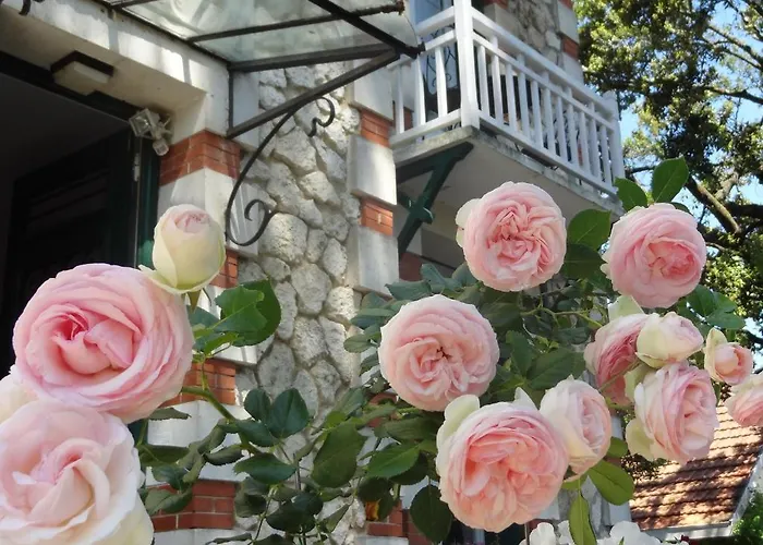 Frivole Bed & Breakfast